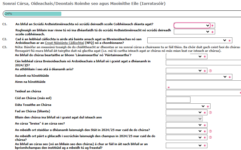 image of Application form Irish section C part time image 3